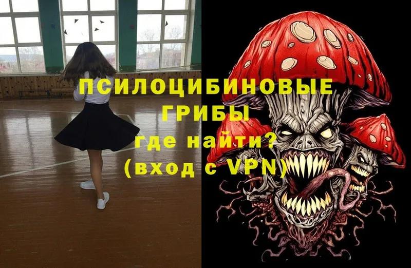 где можно купить наркотик  Киржач  omg как зайти  Псилоцибиновые грибы Psilocybine cubensis 